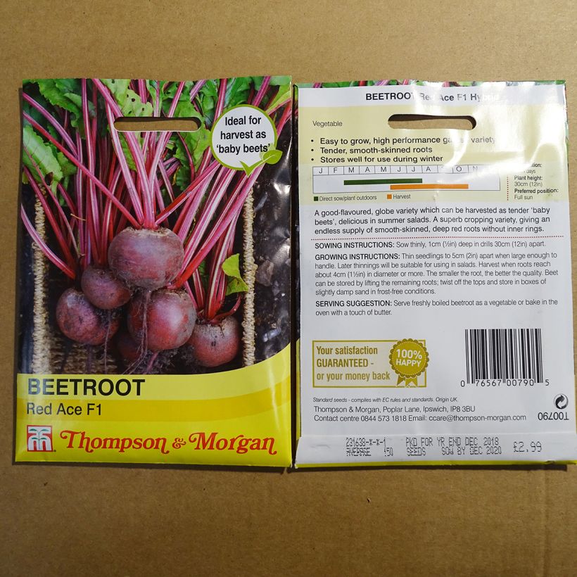Exemplo de amostra de Betterave rouge Red Ace F1 - Beta vulgaris per pack of 150 seeds tal como entregue