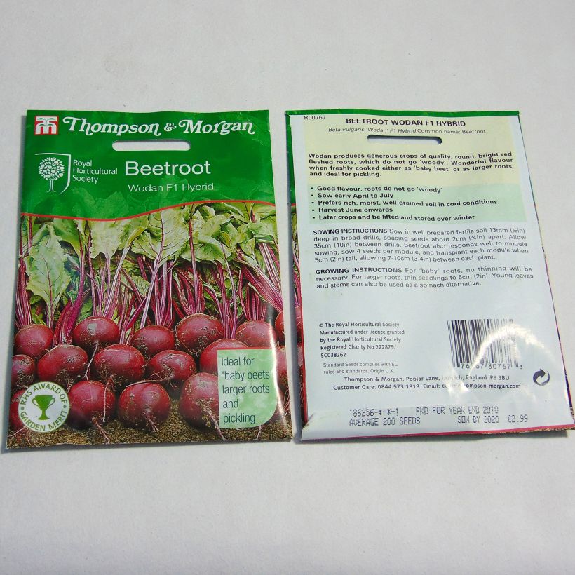 Exemplo de amostra de Betterave rouge Wodan F1 - Beta vulgaris per pack of 200 seeds tal como entregue
