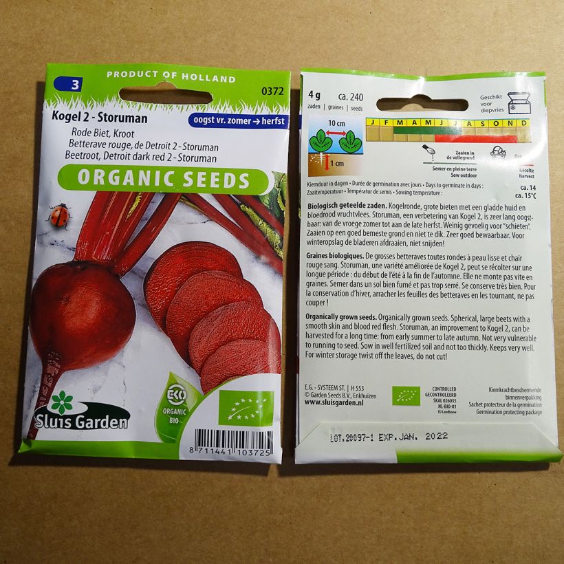 Exemplo de amostra de Betterave rouge de Detroit am. 2 - Storuman BIO per pack of 240 seeds (4g) tal como entregue