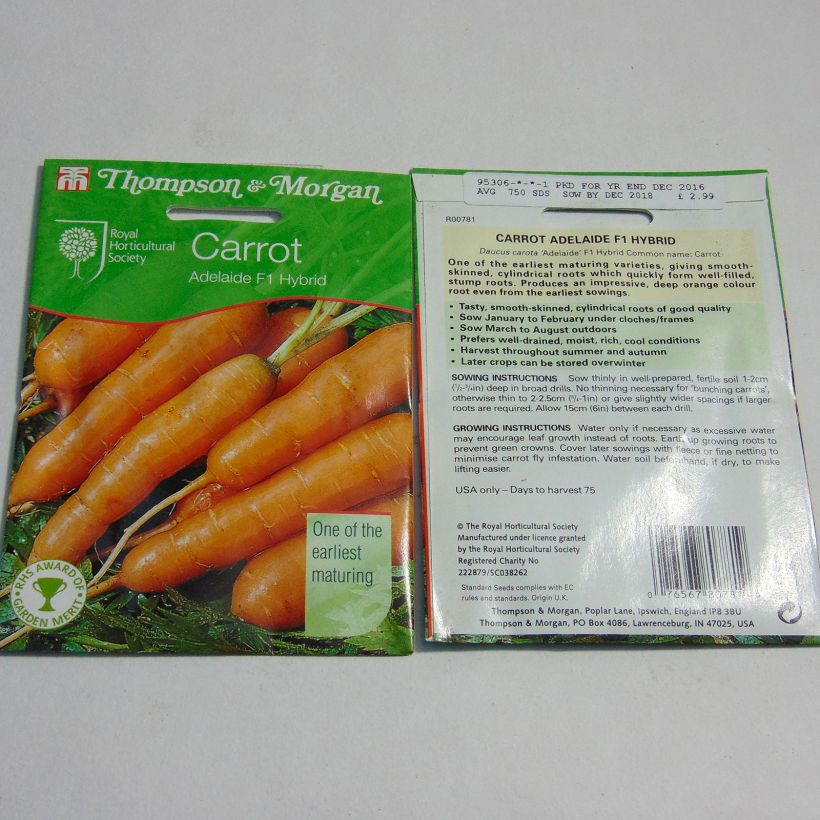 Exemplo de amostra de Carotte Adelaide F1  - Daucus carota  per pack of 750 seeds tal como entregue