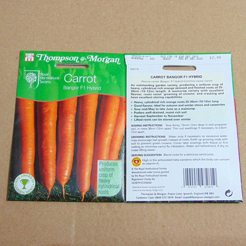 Exemplo de amostra de Carotte Bangor - Daucus carota  die Tüte mit 450 Samen tal como entregue