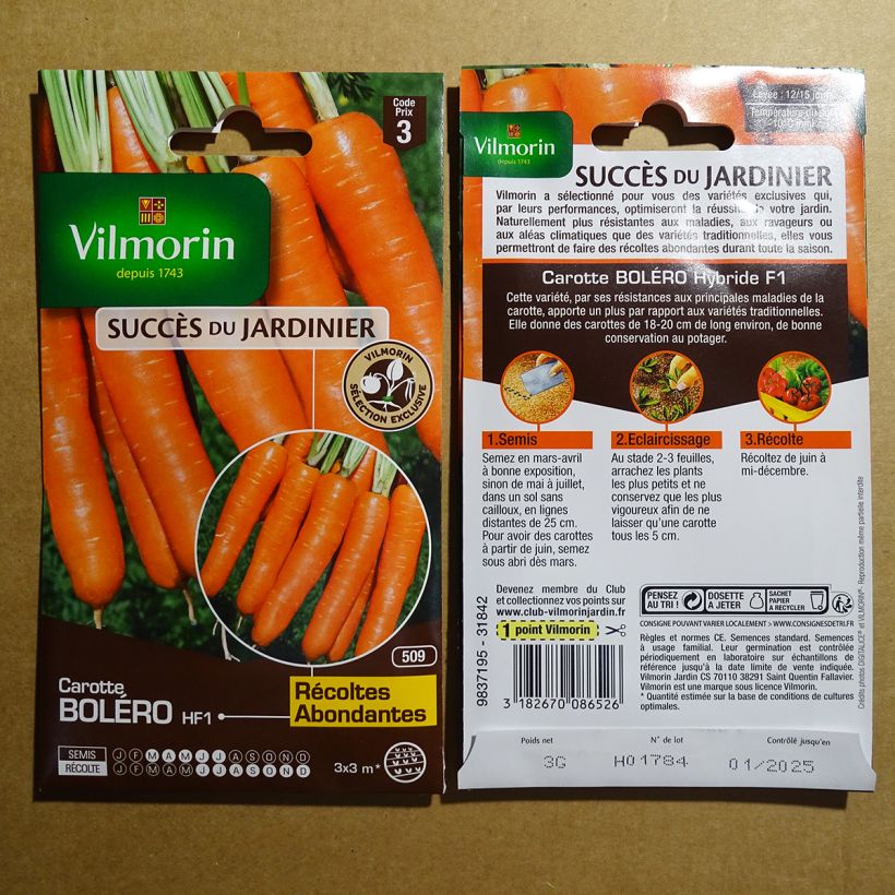 Exemplo de amostra de Carotte Boléro F1 (Création Vilmorin) - Vilmorin per pack of 1500 seeds (3g) tal como entregue