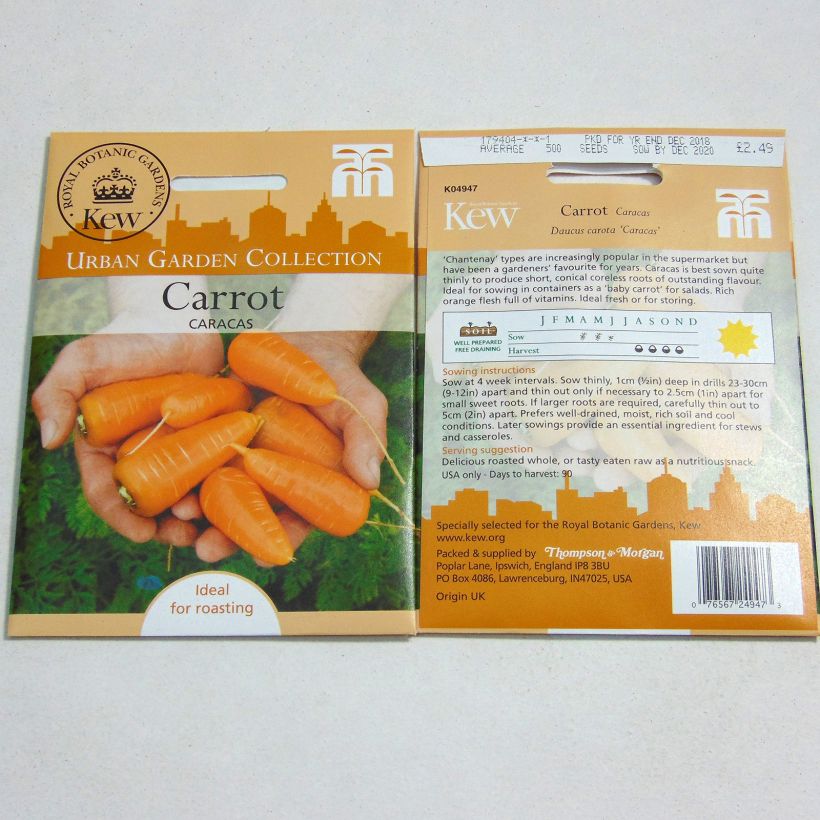Exemplo de amostra de Carotte Caracas - Daucus carota  per pack of 500 seeds tal como entregue
