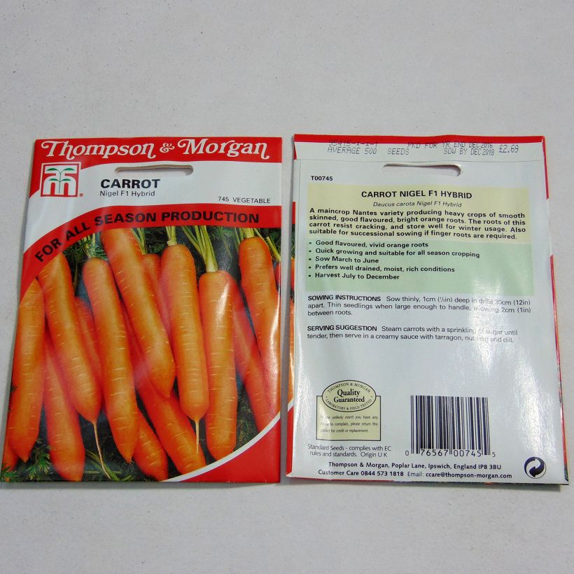 Exemplo de amostra de Carotte Nigel F1 - Daucus carota  per pack of 500 seeds tal como entregue