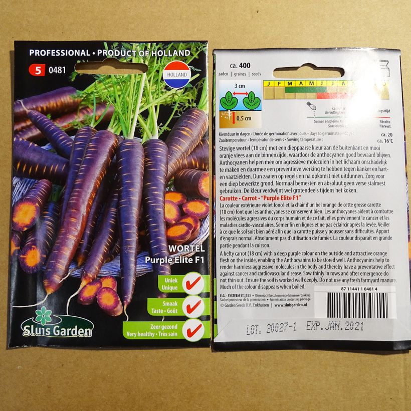 Exemplo de amostra de Carotte Purple Elite F1 per pack of 400 seeds tal como entregue