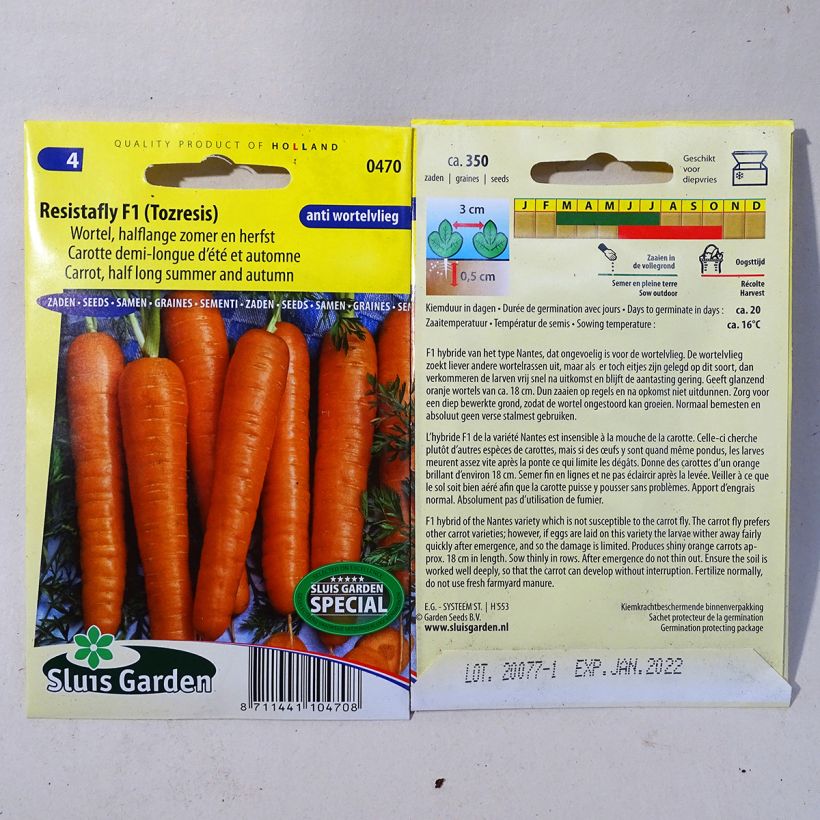 Exemplo de amostra de Carotte Resistofly F1 - Daucus carota per pack of 375 seeds tal como entregue