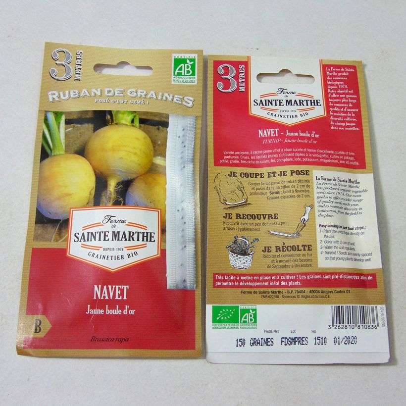 Exemplo de amostra de Carte ruban de Navet Jaune Boule d'Or Bio - Ferme de Sainte Marthe Graines en ruban tal como entregue