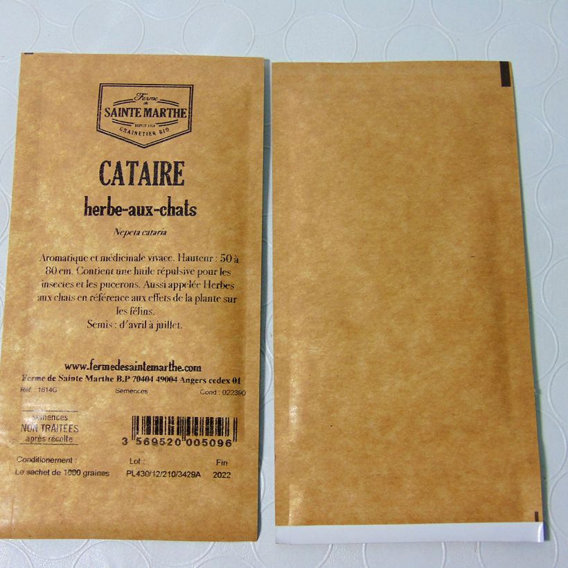 Exemplo de amostra de Cataire NT - Ferme de Sainte Marthe per pack of 1000 seeds tal como entregue