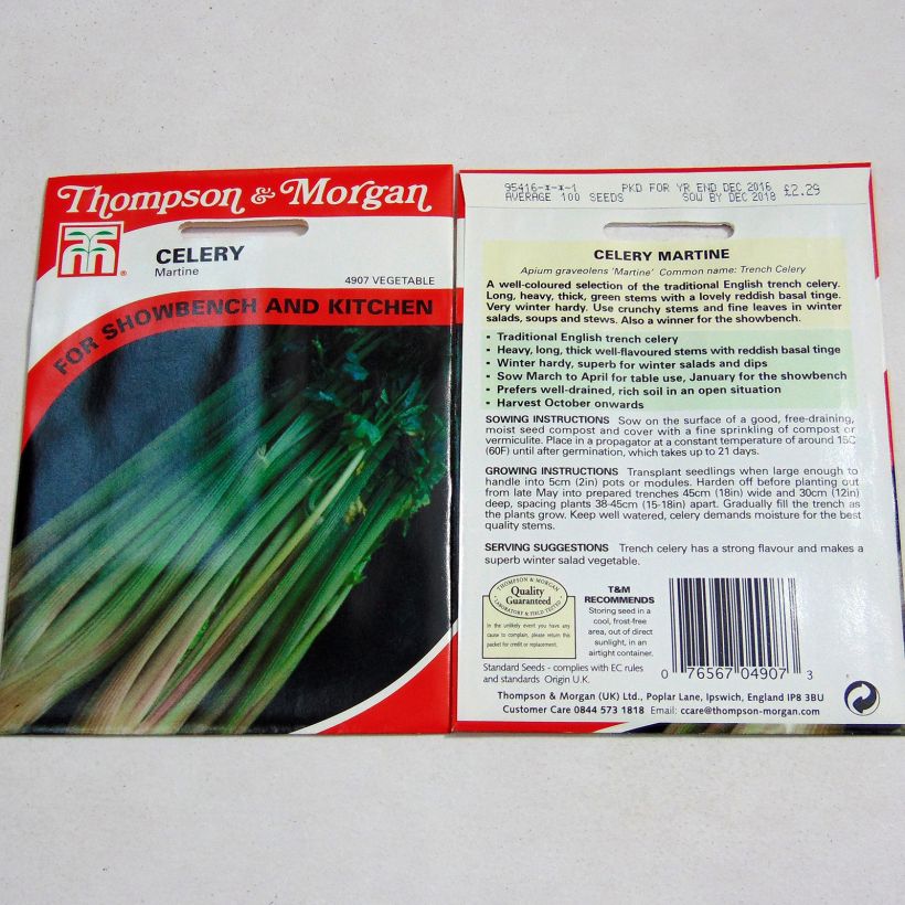 Exemplo de amostra de Céleri Martine - Apium graveolens per pack of 100 seeds tal como entregue