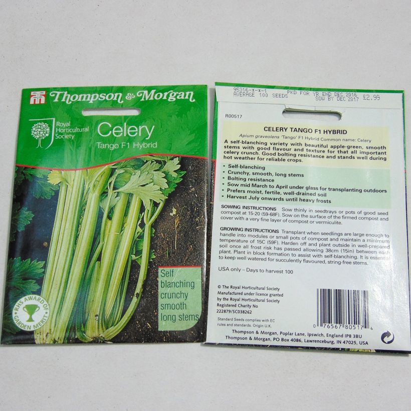 Exemplo de amostra de Céleri Tango F1 - Apium graveolens per pack of 150 seeds tal como entregue