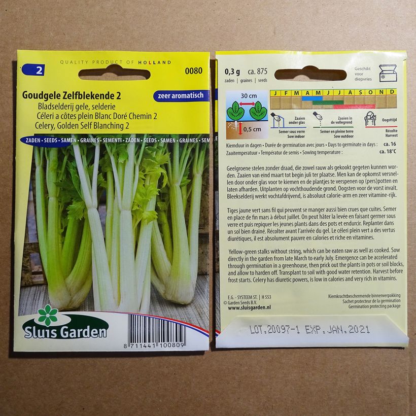 Exemplo de amostra de Céleri à côtes plein Blanc Doré Chemin 2 - Apium graveolens per pack of 875 seeds (3g) tal como entregue