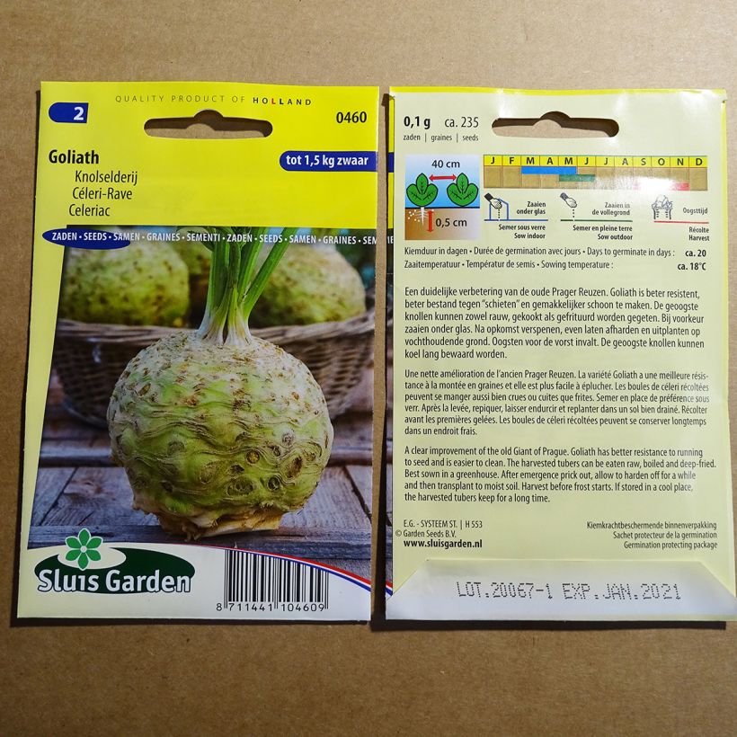 Exemplo de amostra de Céleri rave Goliath - Apium graveolens per pack of 235 seeds tal como entregue