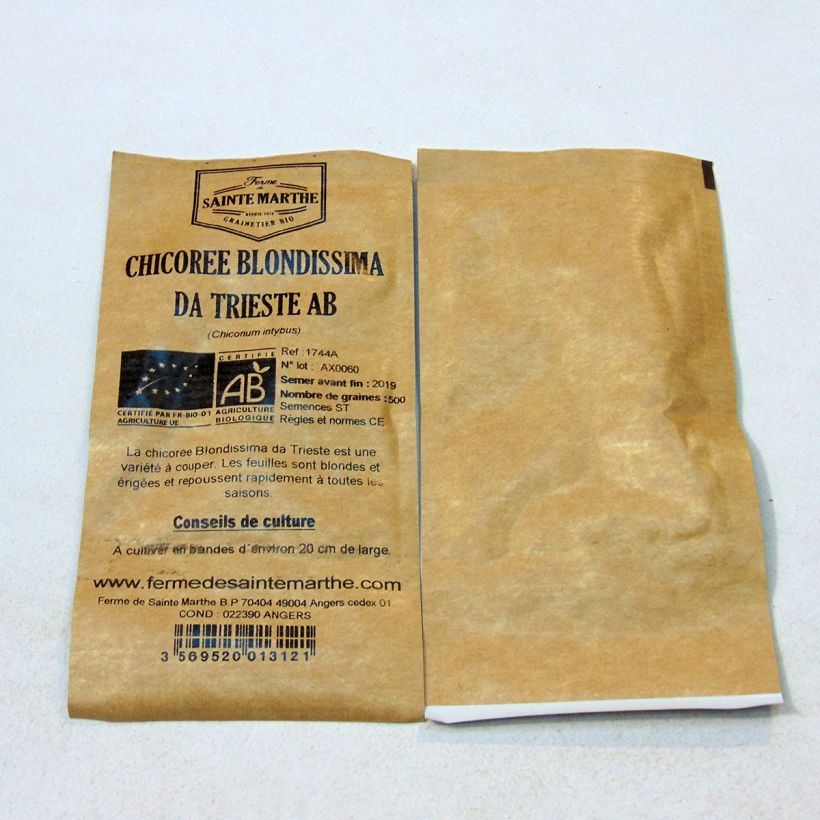 Exemplo de amostra de Chicorée Biondissima Da Trieste Bio - Ferme de Sainte Marthe per pack of 500 seeds tal como entregue