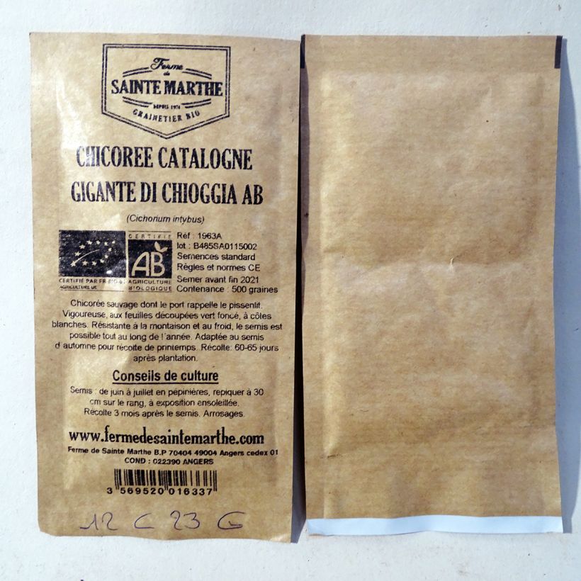 Exemplo de amostra de Chicorée Catalogne Gigante di Chioggia Bio - Ferme de Sainte Marthe per pack of 500 seeds tal como entregue
