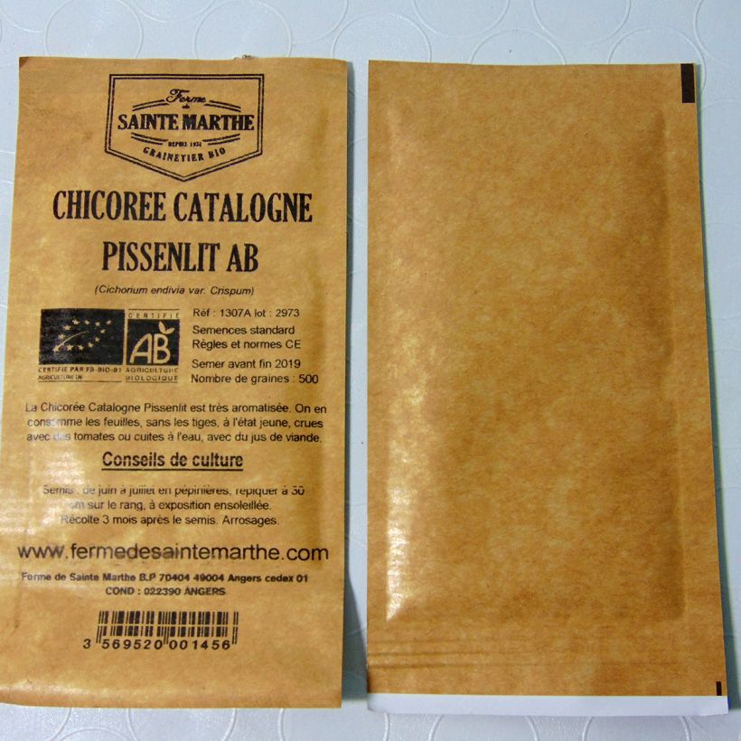 Exemplo de amostra de Chicorée Catalogne Pissenlit Bio - Ferme de Sainte Marthe per pack of 500 seeds tal como entregue