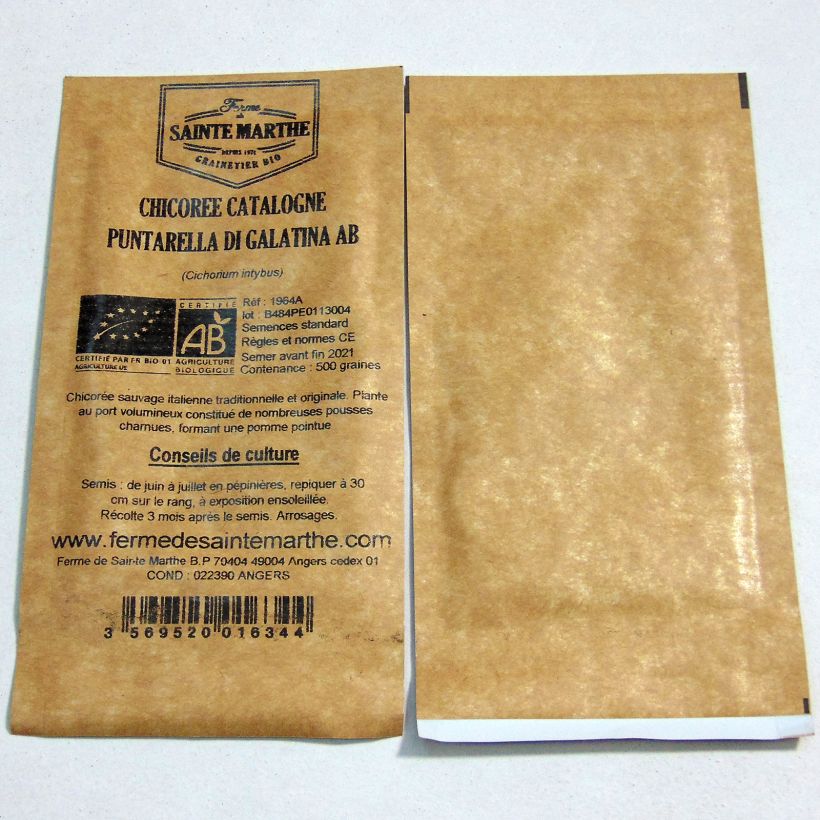 Exemplo de amostra de Chicorée Catalogne Puntarella di Galatina Bio - Ferme de Sainte Marthe per pack of 500 seeds tal como entregue