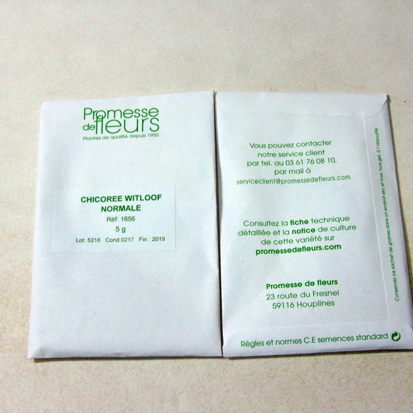 Exemplo de amostra de Chicorée Witloof (Endive) Normale Maraîchère - Cichorium intybus latifolium o saco de 3000 sementes aproximadamente (5g) tal como entregue