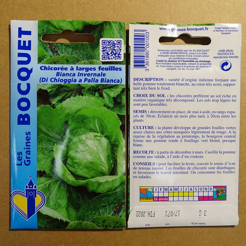 Exemplo de amostra de Chicorée à large feuilles Bianca invernale ( di chioggia a palla Bianca ) - Cichorium intybus per pack of 1800 seeds (3g) tal como entregue