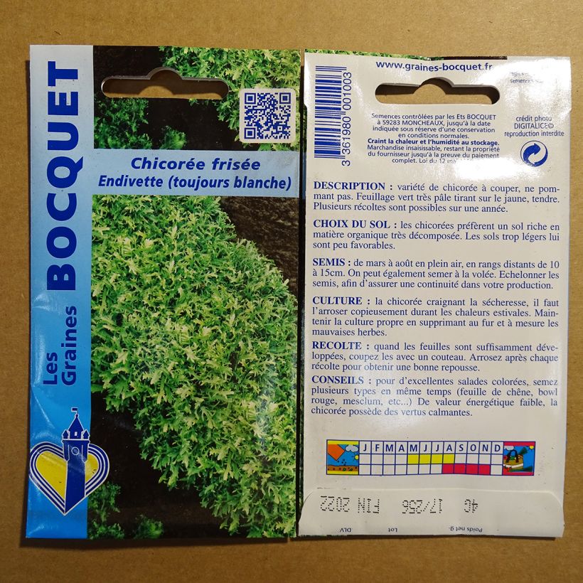 Exemplo de amostra de Chicorée frisée Endivette (Toujours blanche) - Cichorium endivia crispum per pack of 2400 seeds (4g) tal como entregue