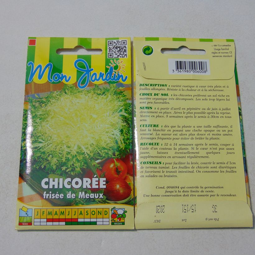 Exemplo de amostra de Chicorée frisée Fine de Meaux - Cichorium endivia crispum per pack of 2500 seeds (4g) tal como entregue