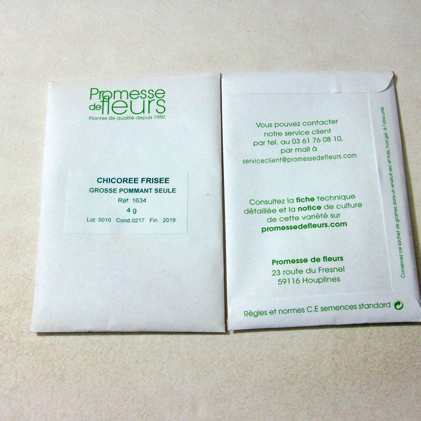 Exemplo de amostra de Chicorée frisée Grosse Pommant Seule - Cichorium endivia var. crispum per pack of 2500 seeds (4g) tal como entregue