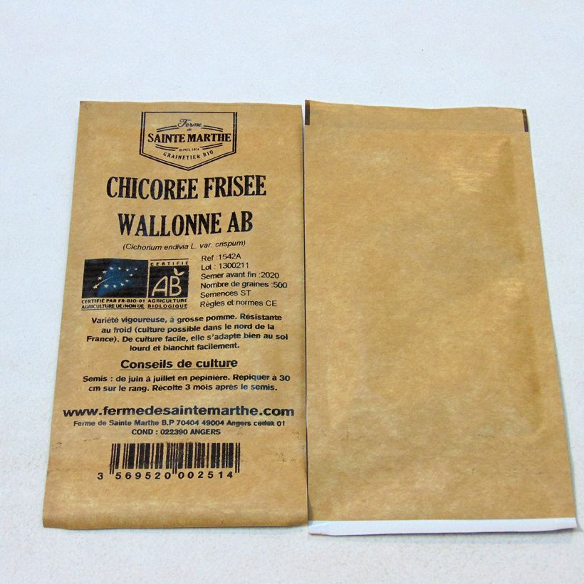 Exemplo de amostra de Chicorée frisée Wallonne Bio - Ferme de Sainte Marthe per pack of 500 seeds tal como entregue
