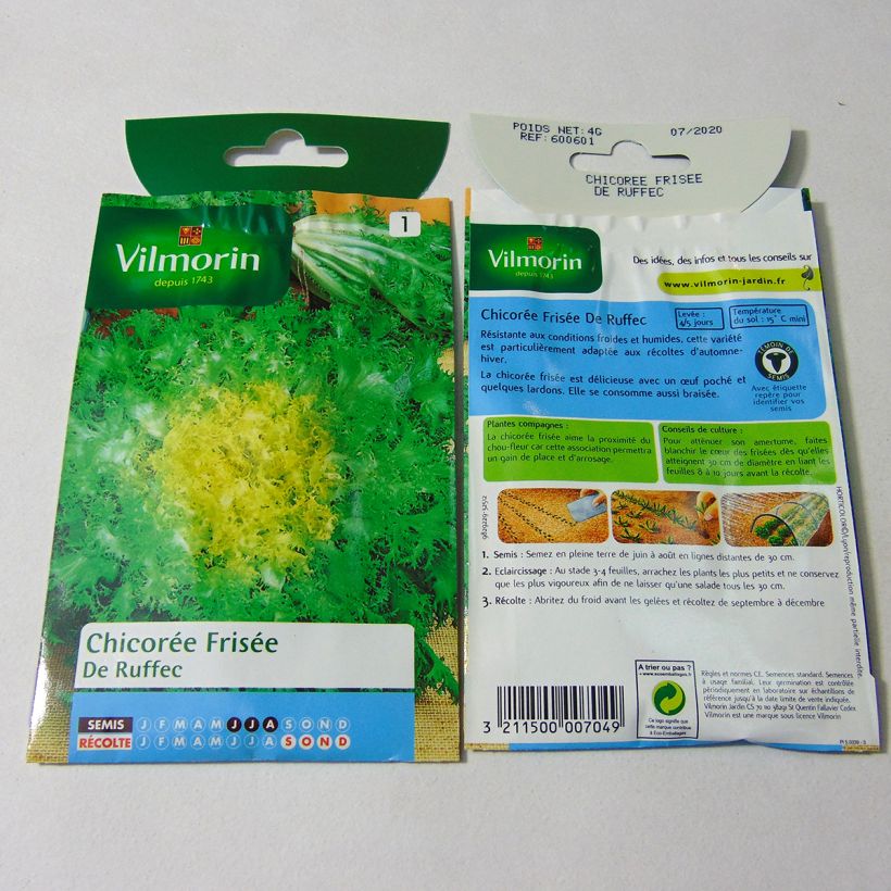 Exemplo de amostra de Chicorée frisée de Ruffec - Vilmorin per pack of 2400 seeds (4g) tal como entregue