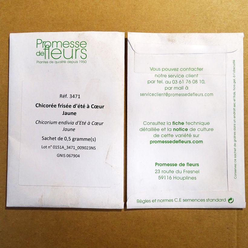 Exemplo de amostra de Chicorée frisée d'été à Cœur Jaune  per pack of 300 seeds (0.5g) tal como entregue