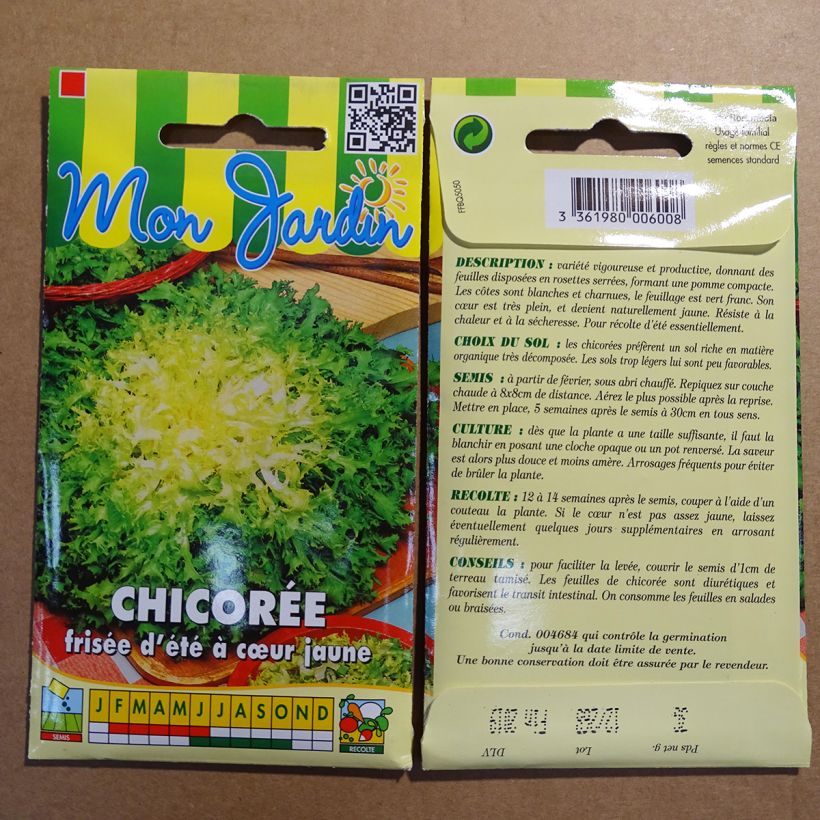 Exemplo de amostra de Chicorée frisée d'été à Cœur Jaune - Cichorium endivia crispum per pack of 1800 seeds (3g) tal como entregue