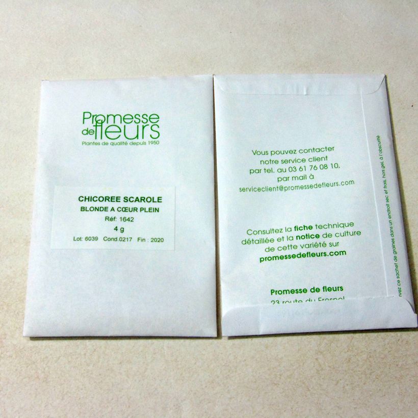 Exemplo de amostra de Chicorée scarole Blonde à Coeur Plein - Cichorium endivia per pack of 2500 seeds (4g) tal como entregue
