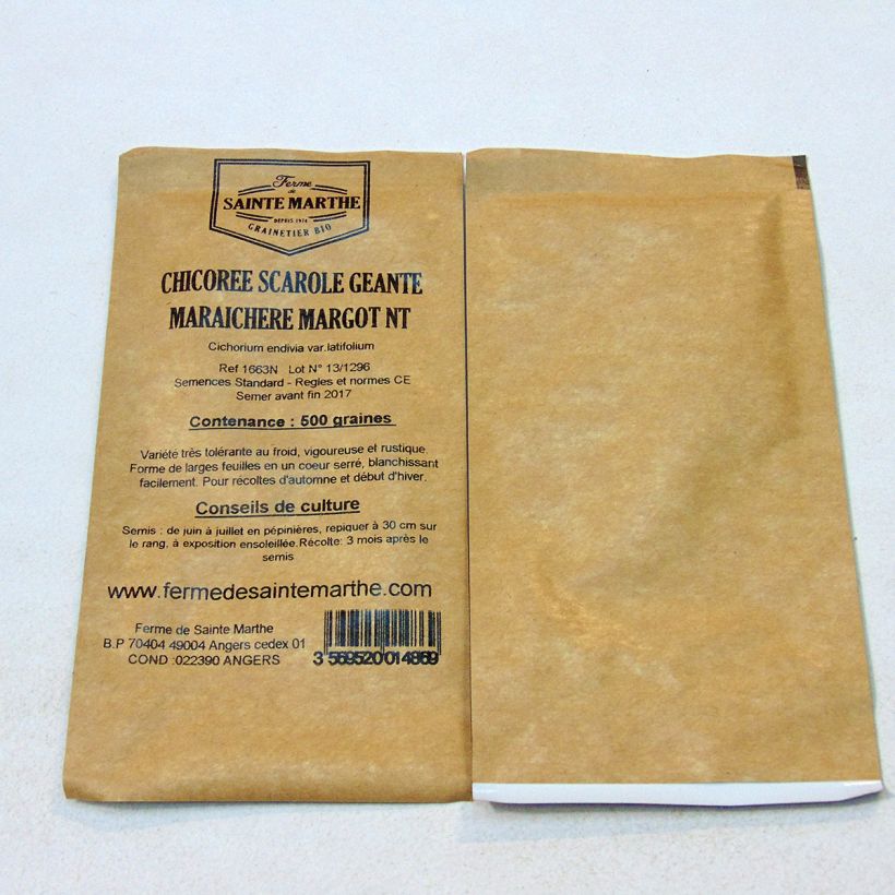 Exemplo de amostra de Chicorée scarole Géante Maraîchère Margot NT - Ferme de Sainte Marthe per pack of 500 seeds tal como entregue