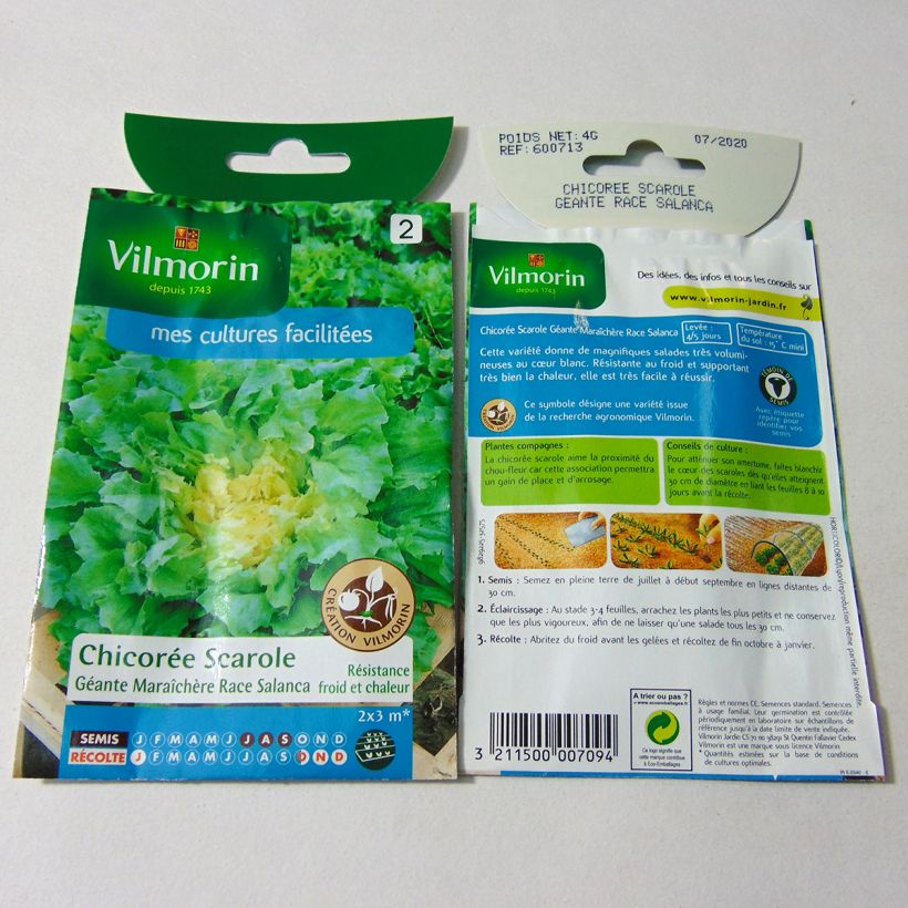 Exemplo de amostra de Chicorée scarole Géante maraîchère race Salanca (Sél. Vilmorin) - Vilmorin per pack of 2400 seeds (4g) tal como entregue