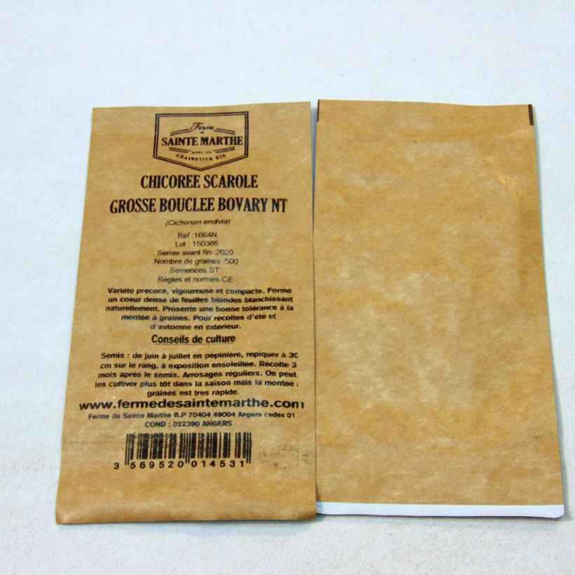 Exemplo de amostra de Chicorée scarole Grosse Bouclée Bovary NT - Ferme de Sainte Marthe die Tüte mit 500 Samen tal como entregue