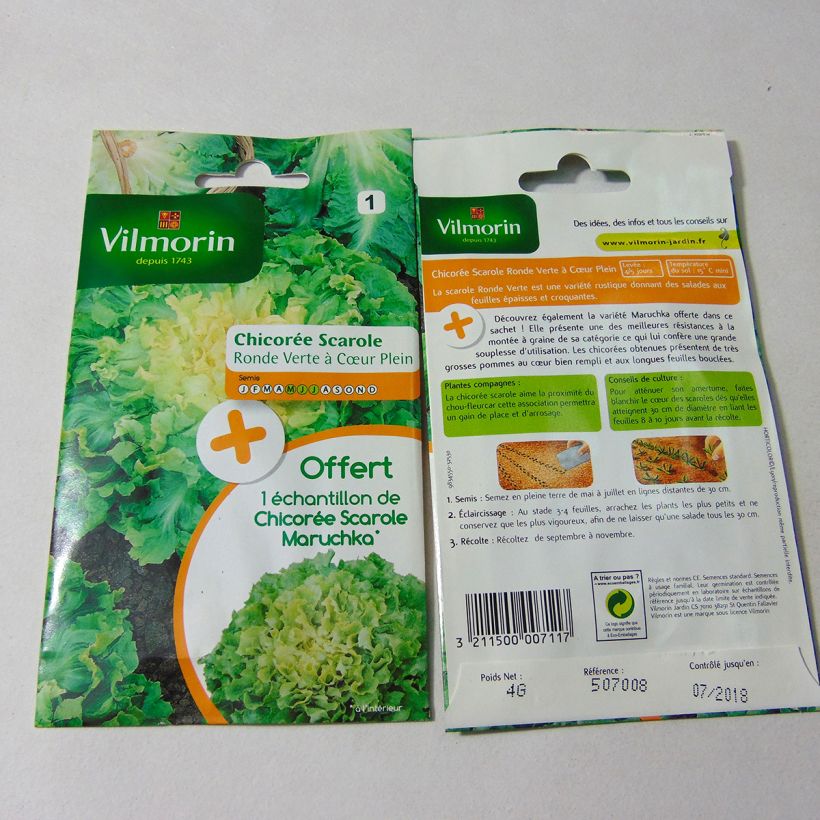 Exemplo de amostra de Chicorée scarole Ronde verte à cœur plein + échantillon scarole Maruchka - Vilmorin per pack of 2400 seeds (4g) tal como entregue