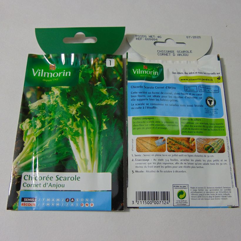 Exemplo de amostra de Chicorée scarole en Cornet d'Anjou - Vilmorin die Tüte mit 2400 Samen (4g) tal como entregue