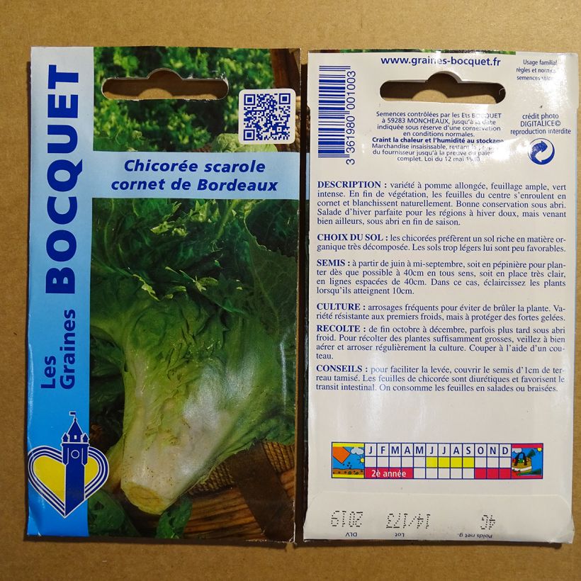 Exemplo de amostra de Chicorée scarole en Cornet de Bordeaux - Cichorium endivia atifolium per pack of 1800 seeds (3g) tal como entregue