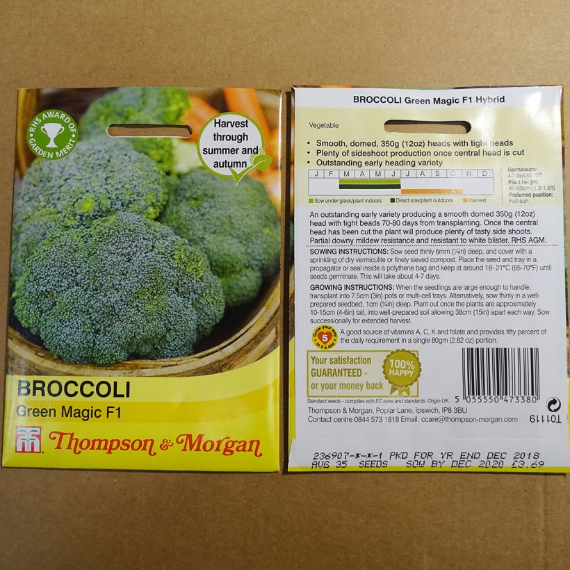 Exemplo de amostra de Chou Brocoli Green Magic F1 per pack of 35 seeds tal como entregue