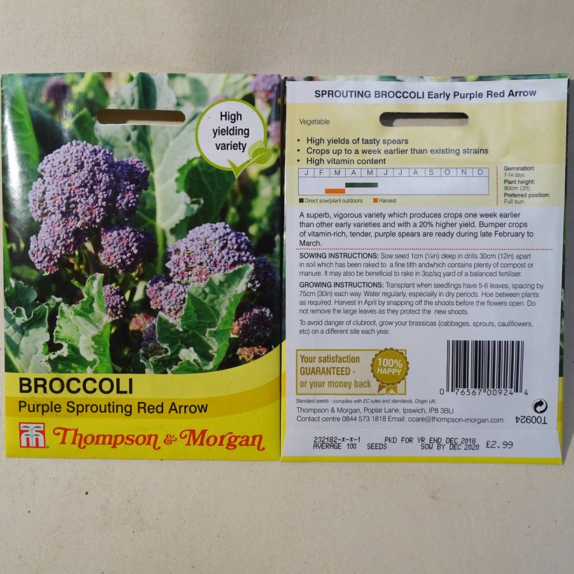 Exemplo de amostra de Chou Brocoli Red Arrow per pack of 100 seeds tal como entregue