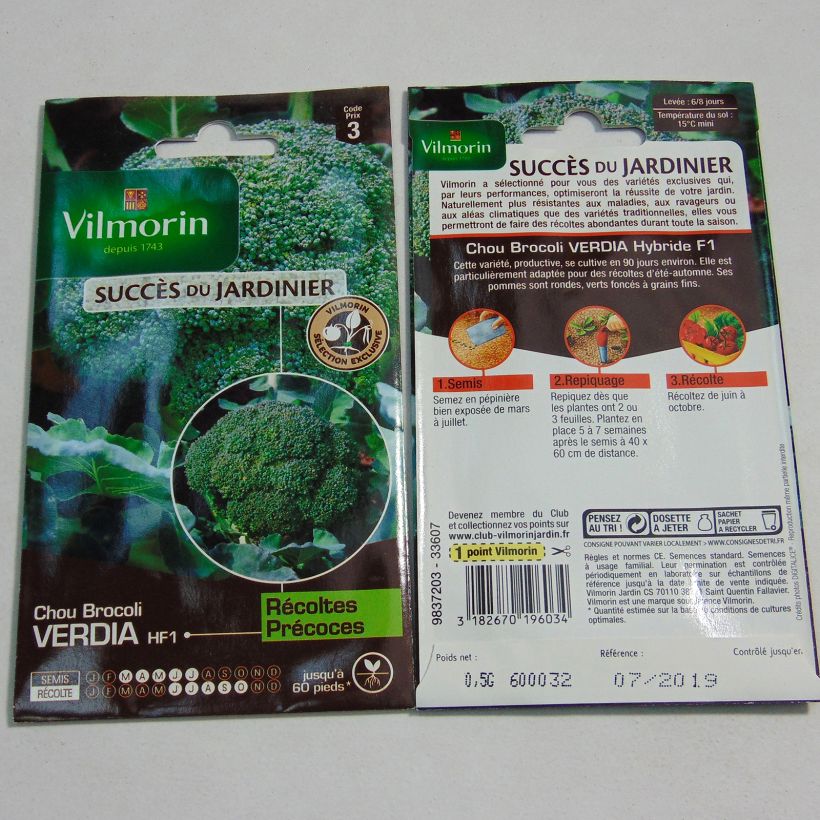 Exemplo de amostra de Chou Brocoli Verdia F1 (création Vilmorin) - Vilmorin per pack of 200 seeds (0.5g) tal como entregue
