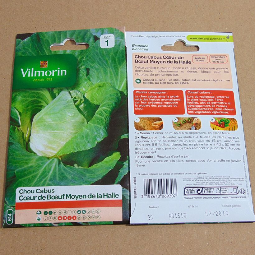 Exemplo de amostra de Chou Cabus Cœur de Bœuf Moyen de la Halle - Vilmorin per pack of 800 seeds (2g) tal como entregue