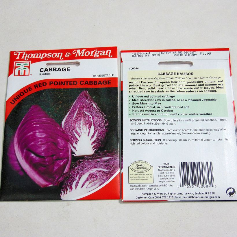 Exemplo de amostra de Chou Cabus Kalibos (Filderkraut) F1 per pack of 100 seeds tal como entregue