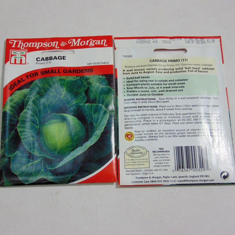 Exemplo de amostra de Chou Cabus Primo per pack of 400 seeds tal como entregue