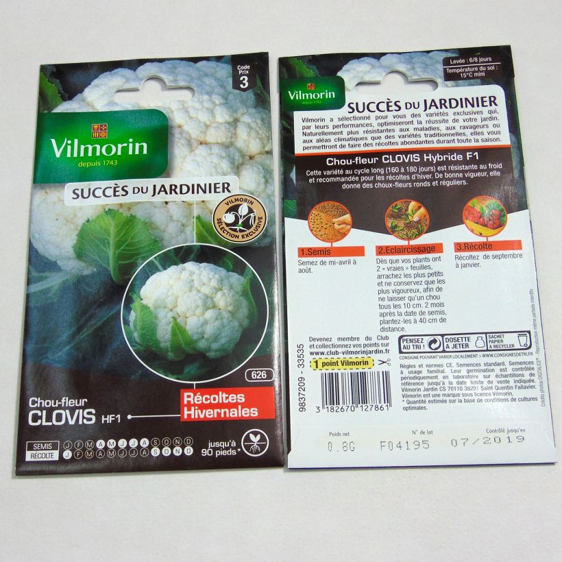 Exemplo de amostra de Chou-Fleur Clovis F1 (Création Vilmorin) - Vilmorin die Tüte mit 320 Samen (0.8g) tal como entregue