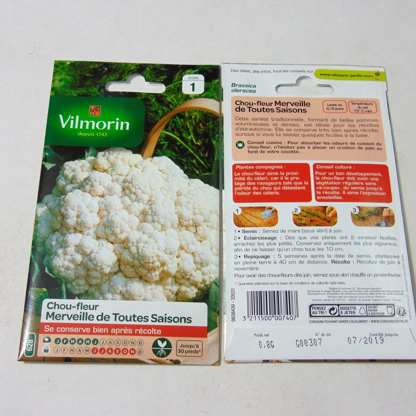 Exemplo de amostra de Chou-Fleur Merveille de Toutes Saisons - Vilmorin per pack of 320 seeds (0.8g) tal como entregue