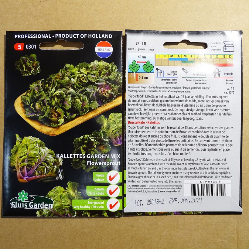 Exemplo de amostra de Chou Flower Sprout - Kalettes Garden Mix per pack of 18 seeds tal como entregue