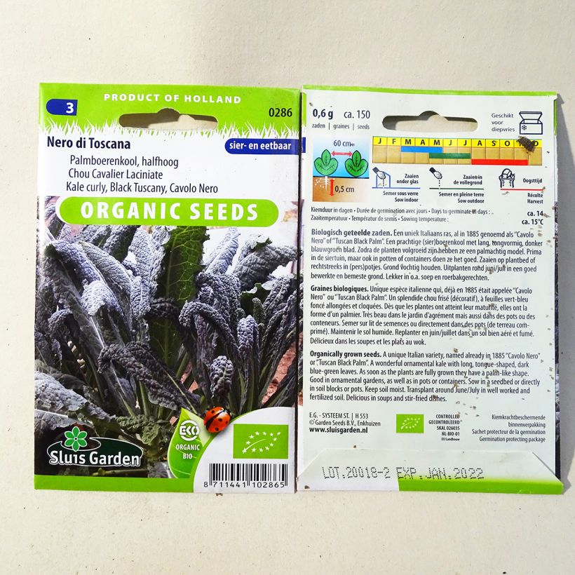 Exemplo de amostra de Chou Kale Nero di Toscana Bio per pack of 150 seeds (0,7g) tal como entregue