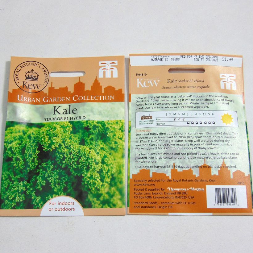 Exemplo de amostra de Chou Kale Starbor F1 per pack of 25 seeds tal como entregue