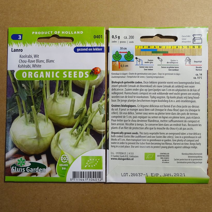 Exemplo de amostra de Chou-Rave Lanro Blanc Bio per pack of 200 seeds tal como entregue
