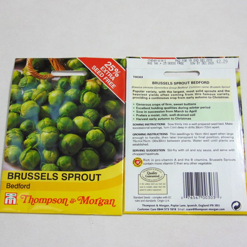 Exemplo de amostra de Chou de Bruxelles Bedford per pack of 100 seeds tal como entregue