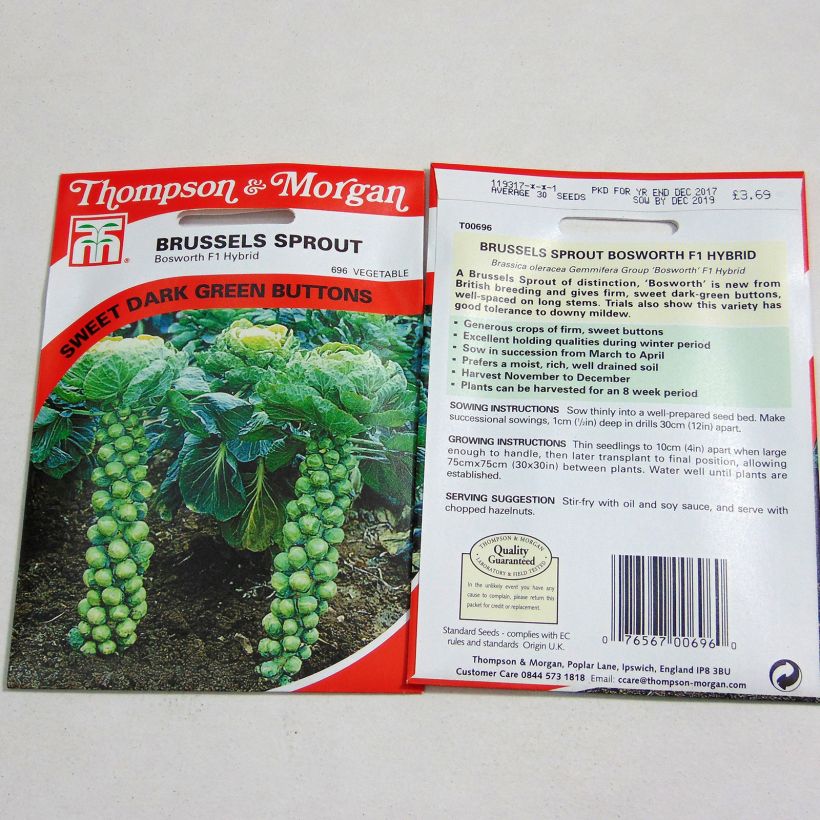 Exemplo de amostra de Chou de Bruxelles Bosworth F1 per pack of 30 seeds tal como entregue